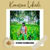 About Kanasina Lokadi Song
